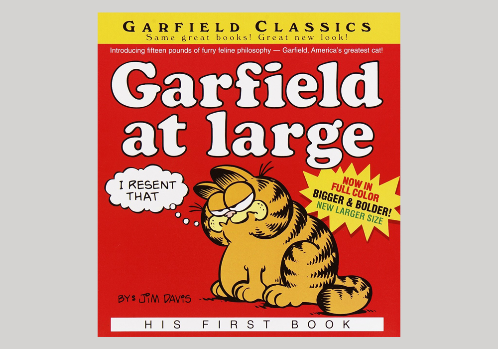 加菲猫的大封面(美国，1970年)